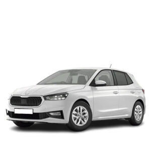 Skoda Fabia (1.0 TSI DSG Selection) 2024/2025