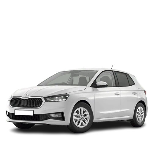 Skoda Fabia (1.0 TSI DSG Selection) 2024/2025