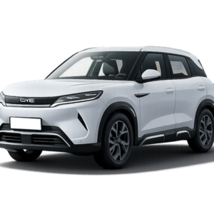 BYD ATTO 2